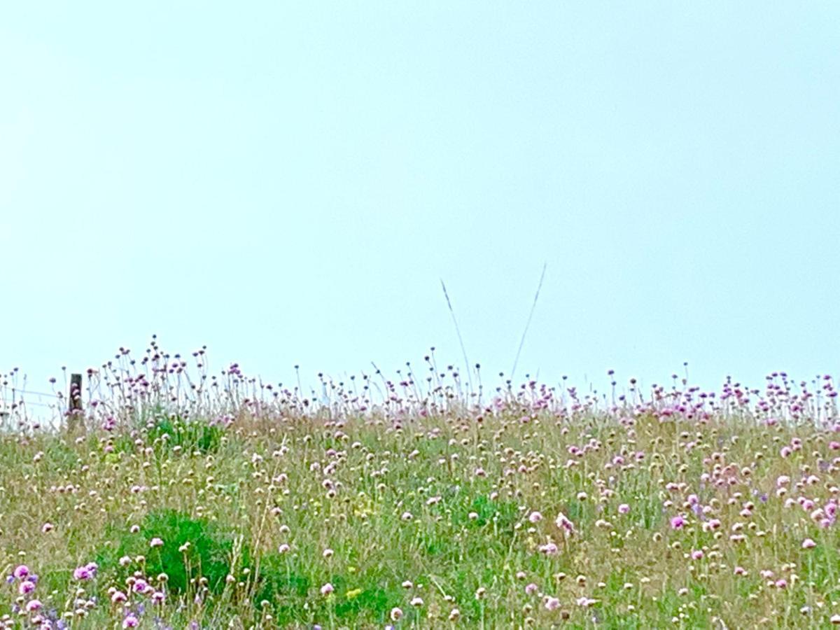 Strandbadsgarden B&B Löderup 외부 사진